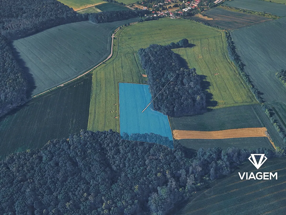 Prodej podílu 1/6 pole 3817 m²